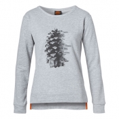 Женская толстовка "FIR CONE"